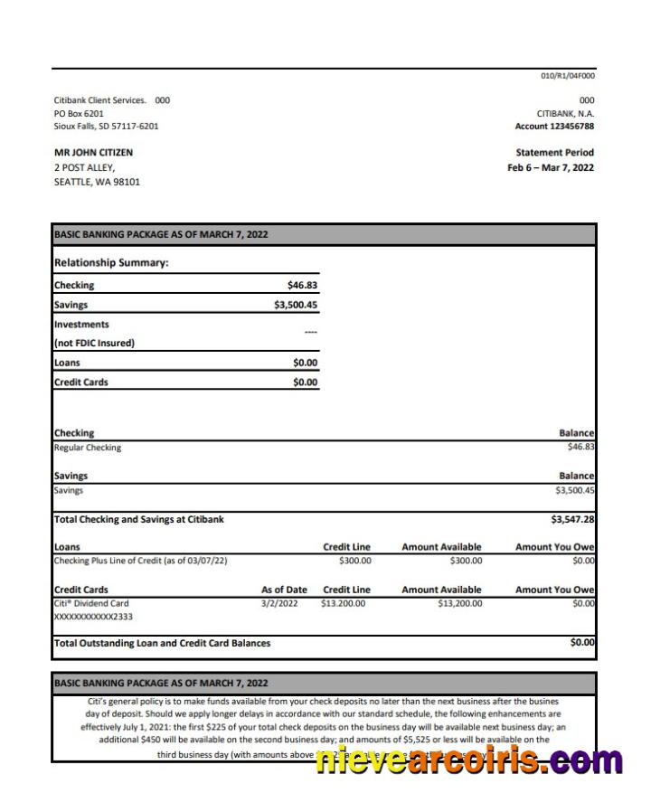 Australia Citibank bank statement xls